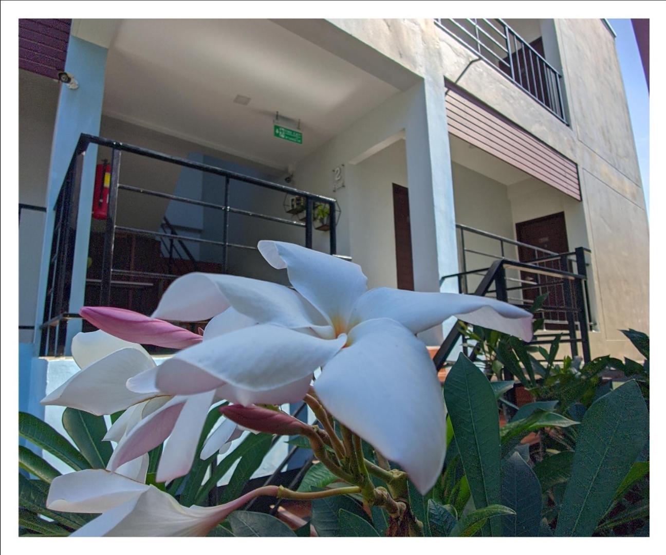 3B Apartment-Sha Extra Plus Kamala Beach Extérieur photo