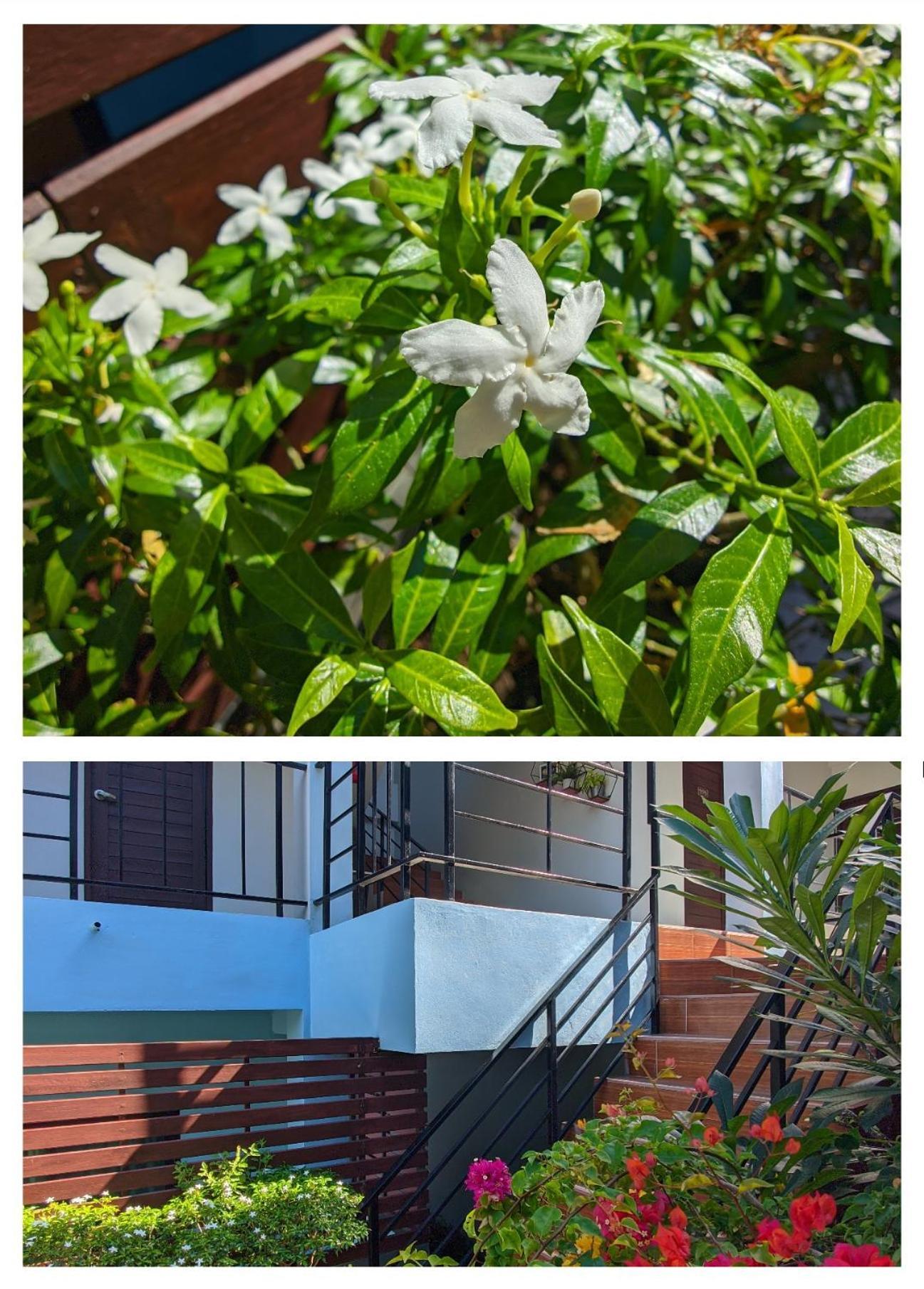 3B Apartment-Sha Extra Plus Kamala Beach Extérieur photo